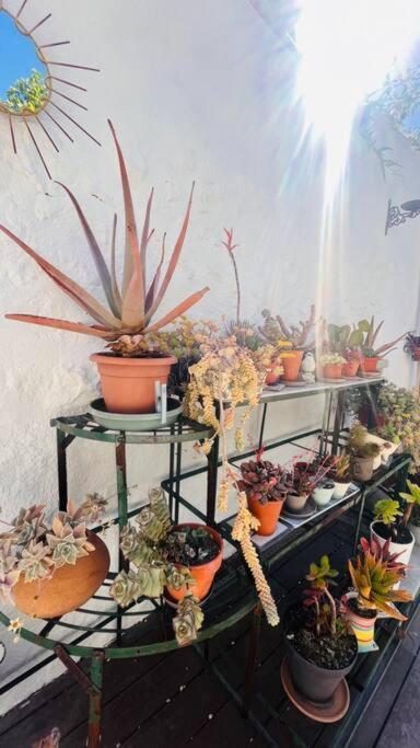 Le Jardin Du Roucas Leilighet Marseille Eksteriør bilde